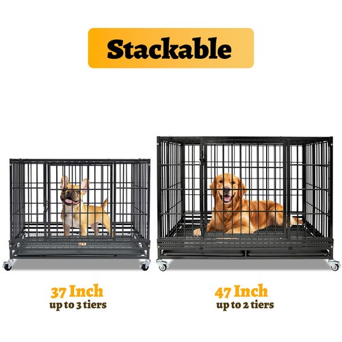 Fold heavy duty dog - fold,