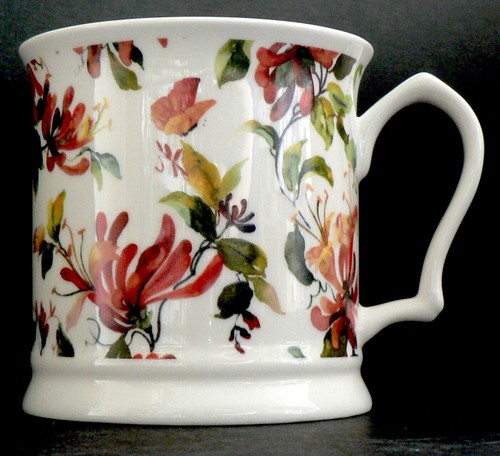 Honeysuckle design colourful