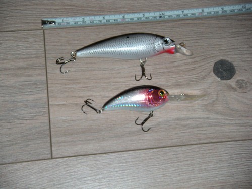Big pike rattlers - pike,
