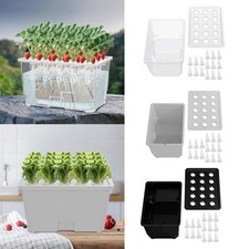 Hydroponic Growing System Kit Hydroponic Grow Kit Multifunction 15 Holes