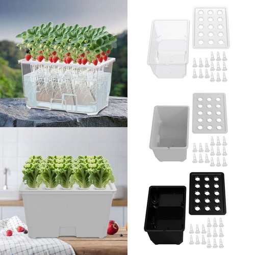 Hydroponic growing system kit - growing,