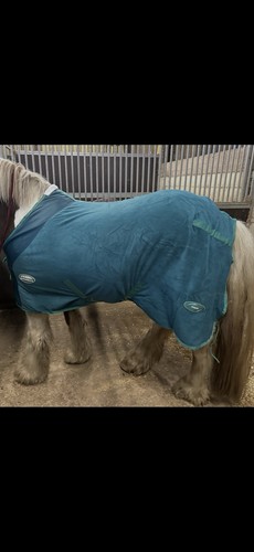Weatherbeeta blue fleece - blue,