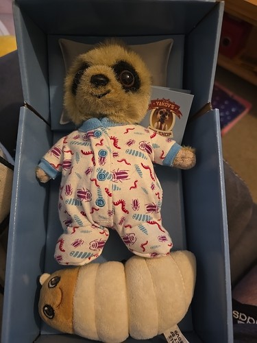 Baby oleg meerkat toy with - meerkat,