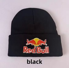 Beanie Hat Mens Women