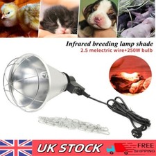 250W Infrared Heat Lamp