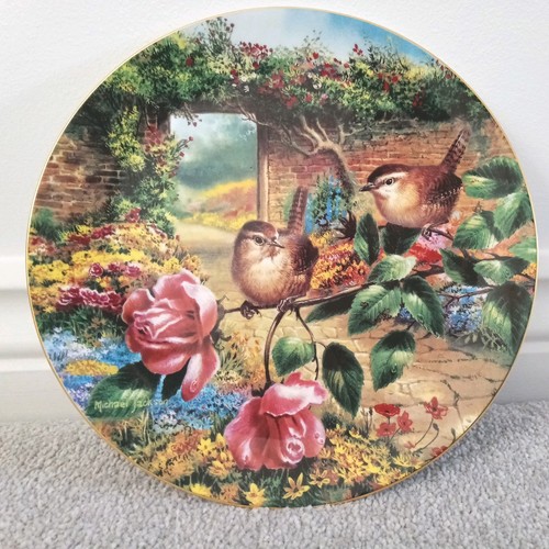 Wedgwood fine bone china plate - bone,