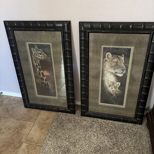 Pair framed matted lioness - pair,