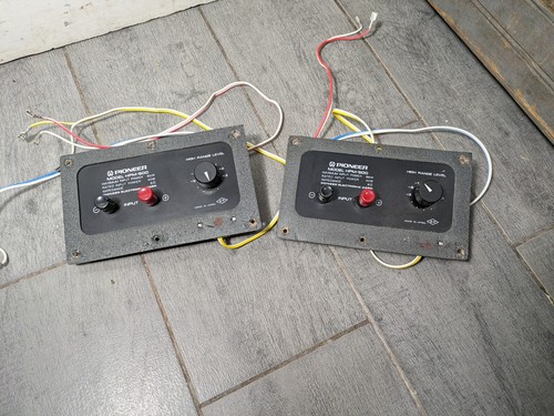 Vintage pair pioneer - pair,