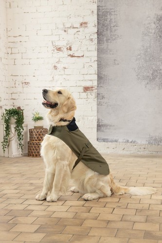 Waterproof coat for dogs - coat,