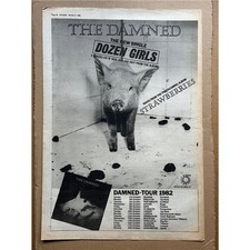 DAMNED STRAWBERRIES 1982 TOUR