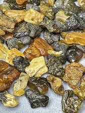 Natural Baltic Amber tumble