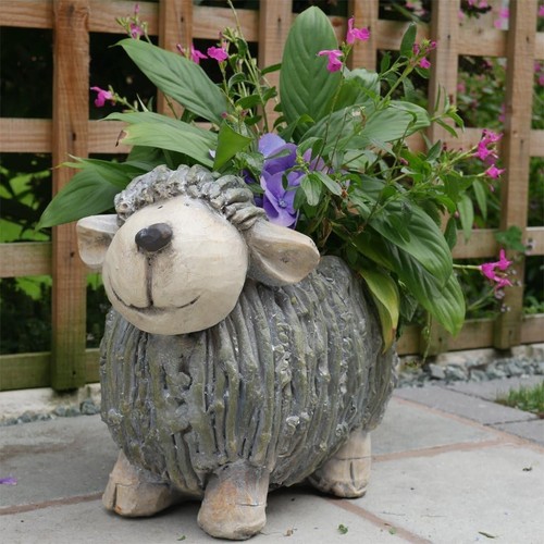 Bike sheep duck flower - flower, pot