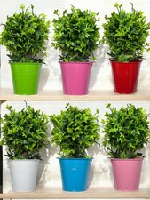 Aluna home 6pc - home, colour