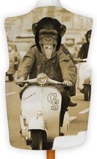 Cheeky Monkey Scooters Design