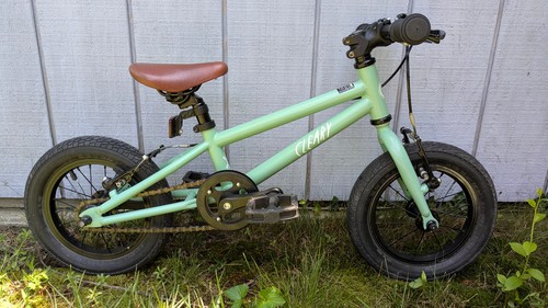 Cleary gecko children bike - children's,