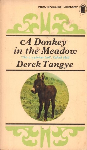 Donkey the - donkey,