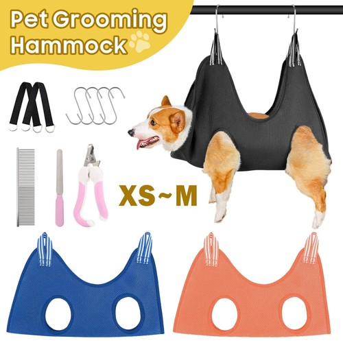 Dog cat bathing - cat, trimming