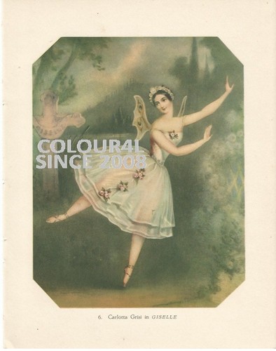Carlotta grisi griselle - grisi, in