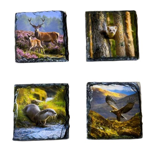 Slate coaster set scottish - slate,