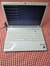Sony Vaio VPCEB3F4E Model