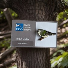 RSPB-Pin Badge GOLDCREST   FR