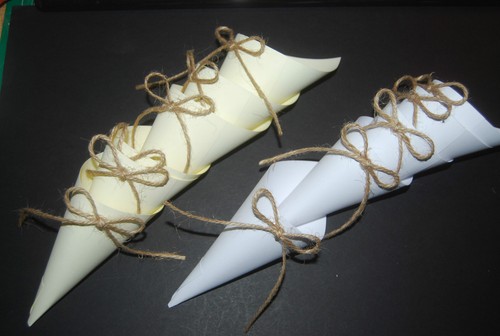 Wedding cones with bio - wedding,