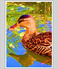 Down By The Riverbank A4 Print