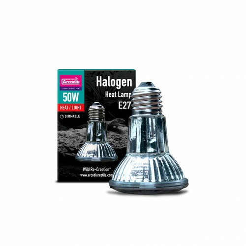Arcadia 50w par38 halogen - arcadia,