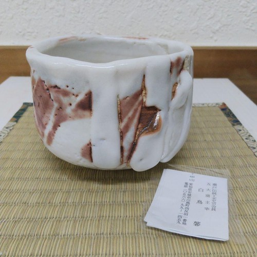 Kaoru shiratori shino matcha - shiratori,