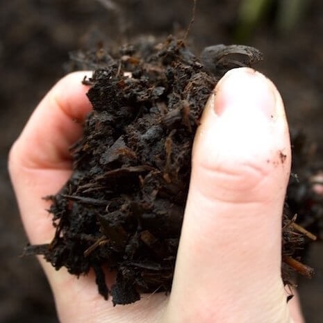 Composted horse manure - composted,