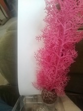 OASE BIORB COLOURED SEA FAN AQUARIUM FISH TANK DECORATION ORNAMENT PLANT BOWL