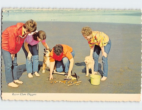 Postcard razor clam diggers - razor,