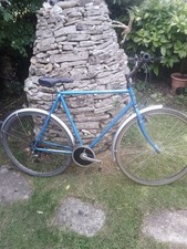 Raleigh Pioneer Prestige