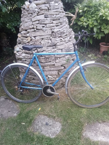 Raleigh pioneer prestige - pioneer,