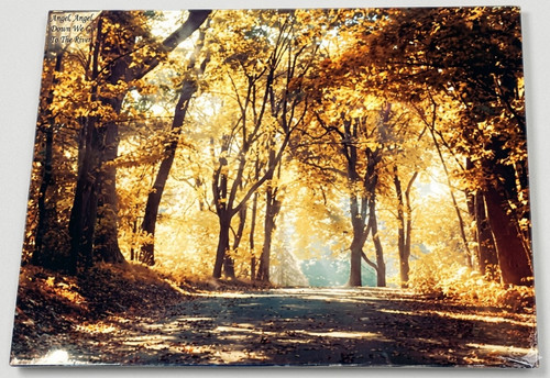 Large woodland forest trees - large,