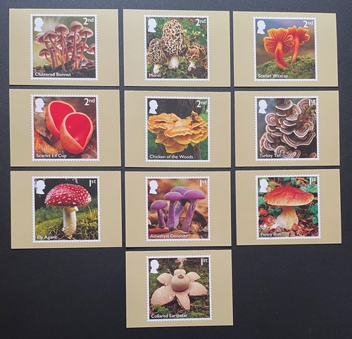2025 mushrooms phq cards - 2025,