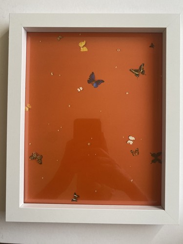 Damien hirst unsigned print - damien,