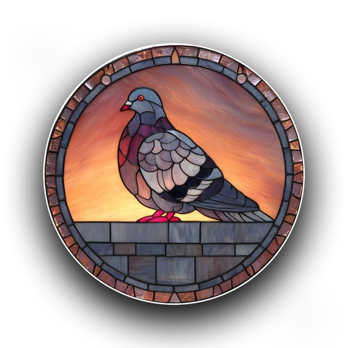 Pigeon bird sunset stained - pigeon,