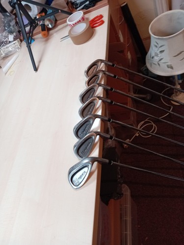 Lynx predator irons - predator,