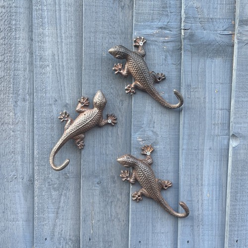 Set gecko wall art - set, 3