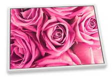 Pink Rose Floral Flower CANVAS FLOATER FRAME Wall Art Print Picture