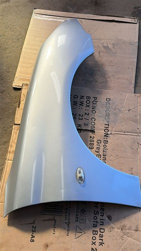 Peugeot 206 drivers side wing - 206,