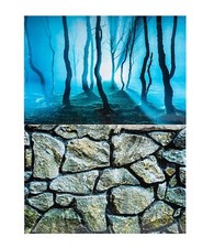 Aquarium Fish Tank Background 2 Sides - 40cm High 2 to 10 FT Lengths