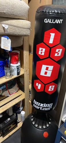 Gallant boxing partner - gallant,