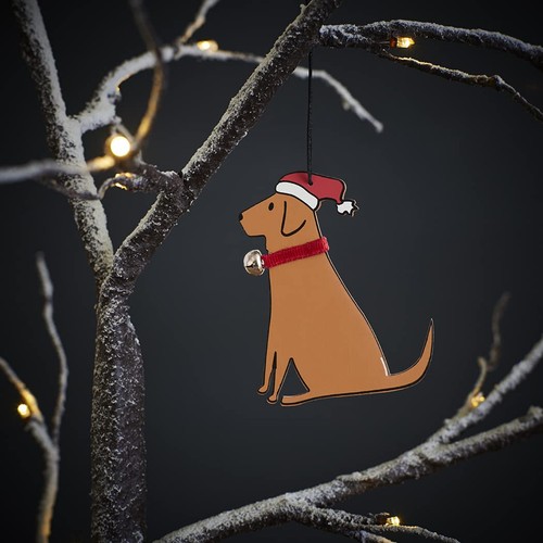 Sweet william christmas - sweet,