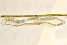 45” Adult Corn Snake Skin
