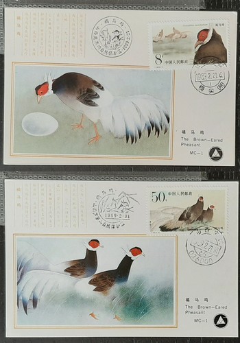China 1989 chinese - china,