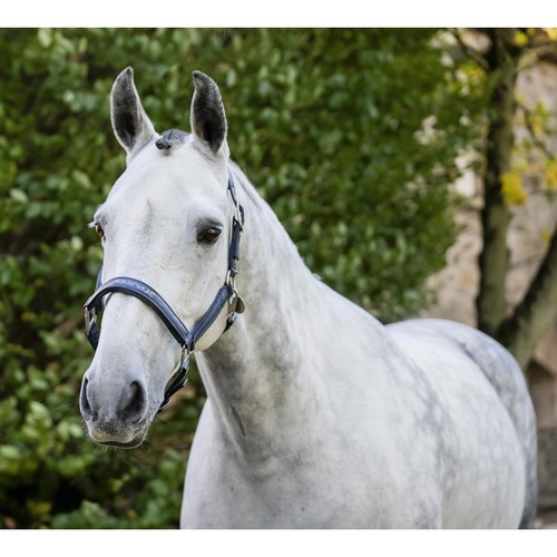 Horseware grooming headcollar - horseware,