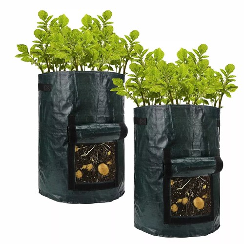 Gallon potato grow bag - gallon,