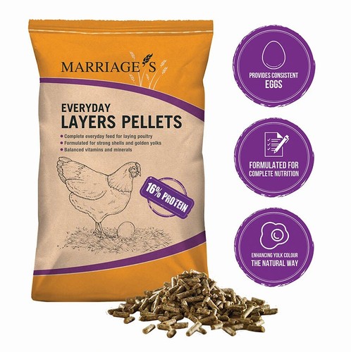 Marriage everyday layers - marriage's,